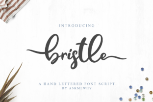 Bristle: A Hand-Lettered Script Font for Branding