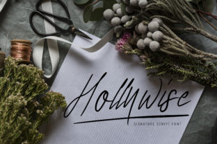 Hollywise Font Review: A Hand-Crafted Script for Branding