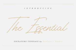 Reviewing The Essential for Modern Brand Identity