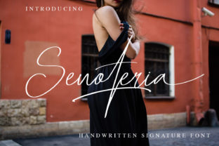 Senoteria Font Review for Web Design