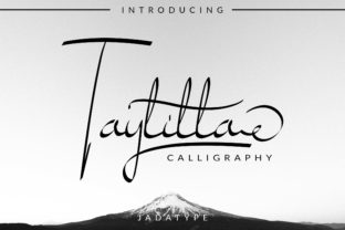 Taylilla: A Designer’s Honest Review